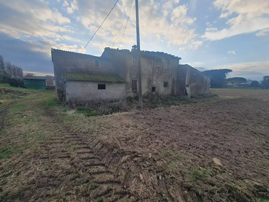 Immagine 10 di Casa colonica in vendita  a Camaiore