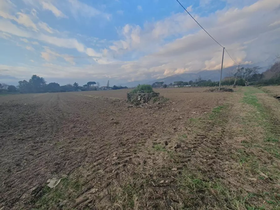 Immagine 4 di Casa colonica in vendita  a Camaiore
