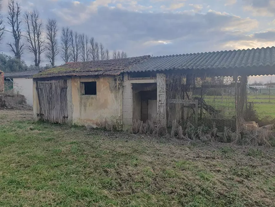 Immagine 2 di Casa colonica in vendita  a Camaiore