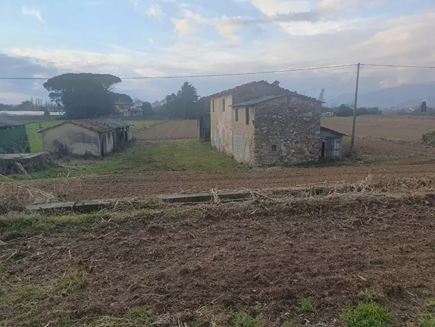 Immagine 7 di Casa colonica in vendita  a Camaiore