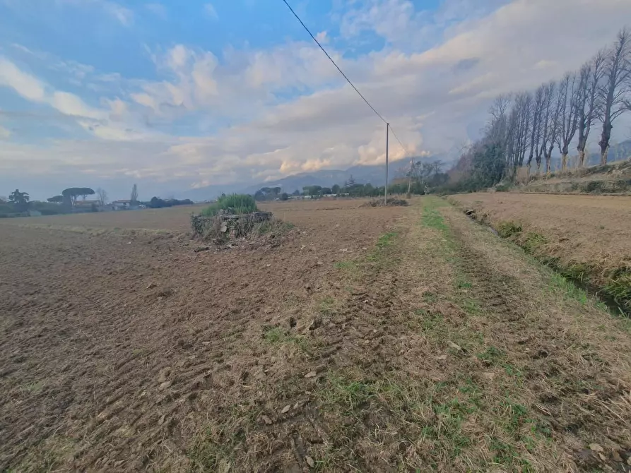 Immagine 5 di Casa colonica in vendita  a Camaiore