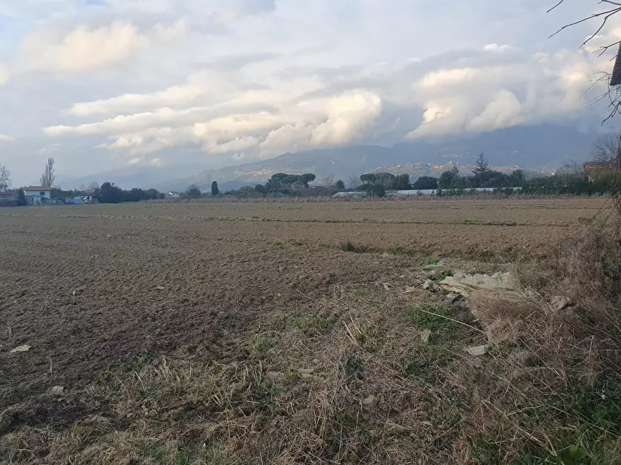 Immagine 9 di Casa colonica in vendita  a Camaiore