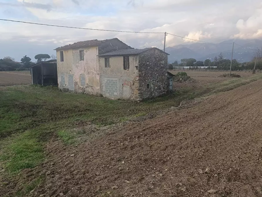 Immagine 3 di Casa colonica in vendita  a Camaiore
