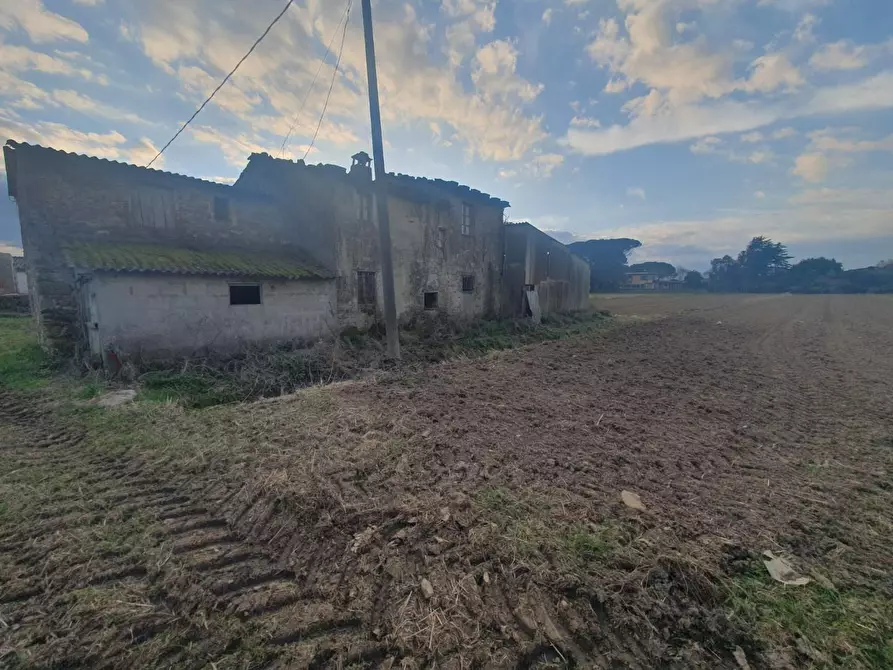 Immagine 6 di Casa colonica in vendita  a Camaiore