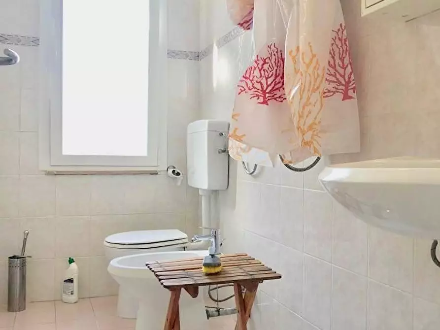 Immagine 5 di Appartamento in affitto  a Pisa