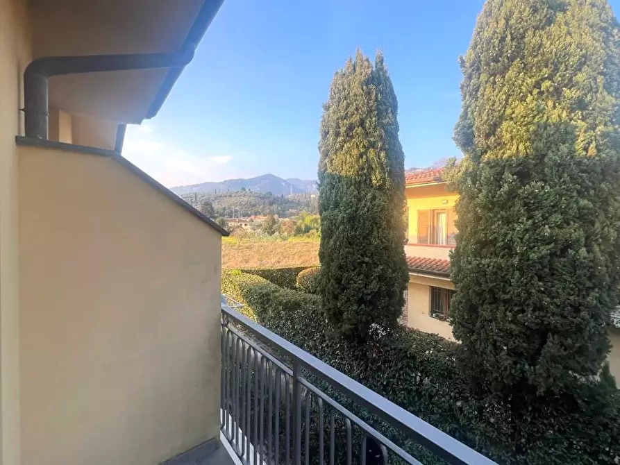 Immagine 39 di Villetta a schiera in vendita  a Camaiore