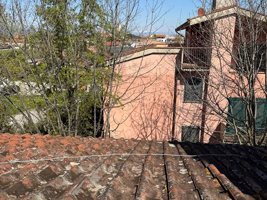 Immagine 11 di Appartamento in vendita  a Ponsacco