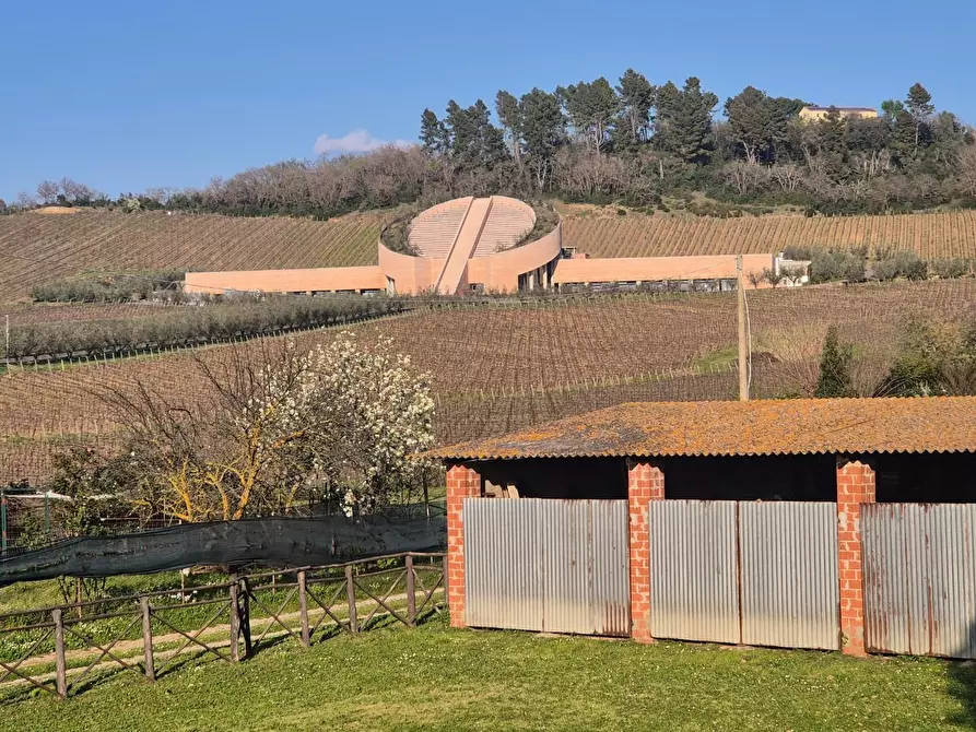 Immagine 1 di Casa semindipendente in vendita  a Suvereto