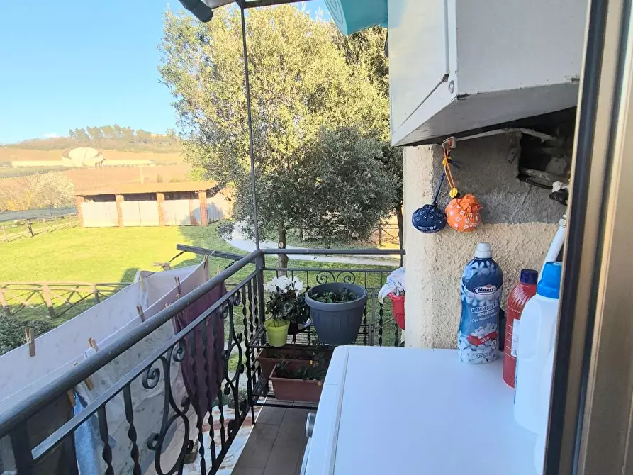 Immagine 7 di Casa semindipendente in vendita  a Suvereto