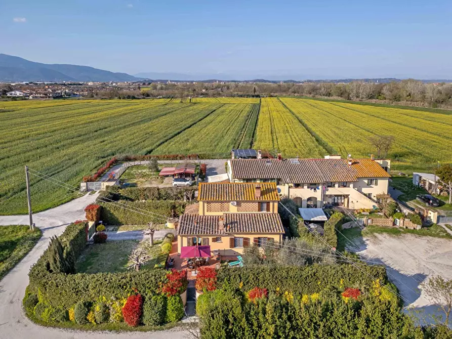 Immagine 10 di Rustico / casale in vendita  a Ponsacco