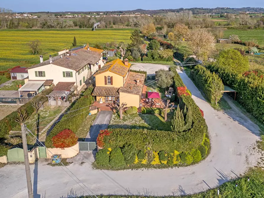 Immagine 7 di Rustico / casale in vendita  a Ponsacco