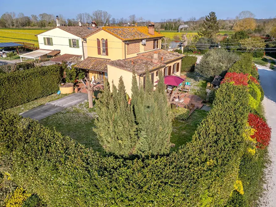 Immagine 6 di Rustico / casale in vendita  a Ponsacco