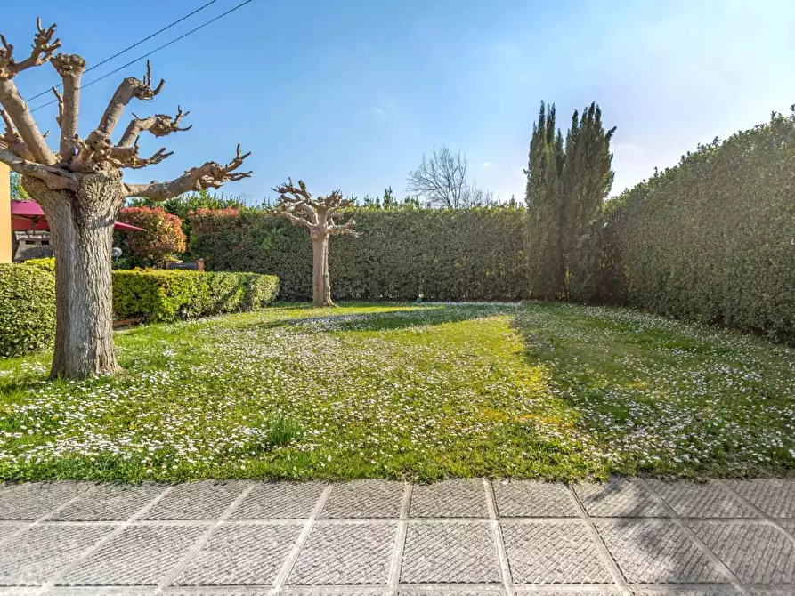 Immagine 16 di Rustico / casale in vendita  a Ponsacco