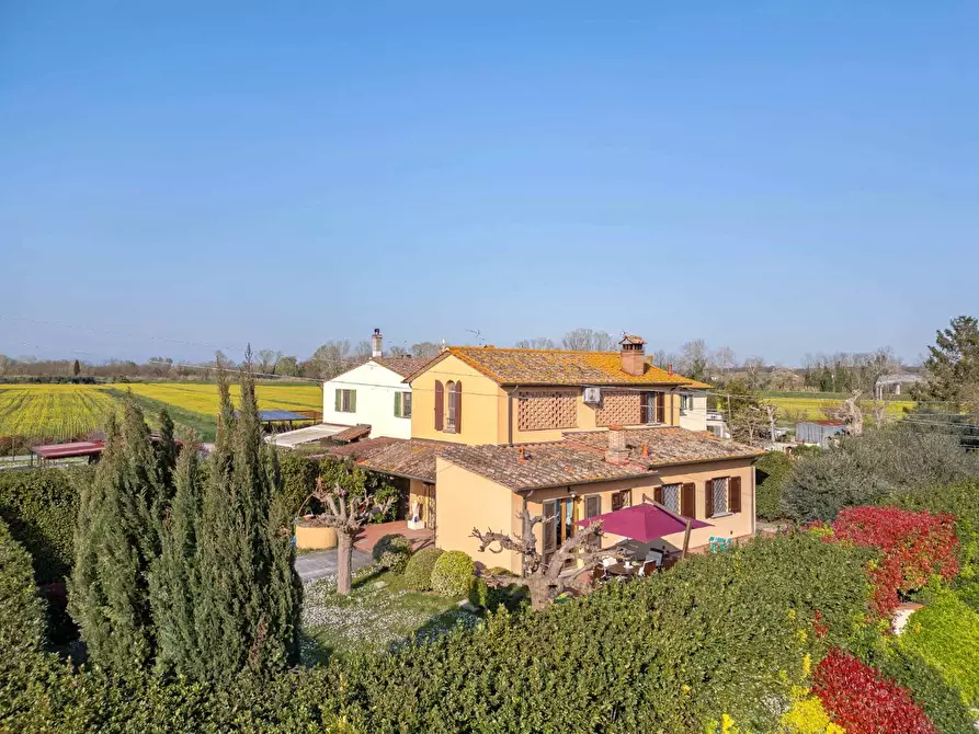 Immagine 3 di Rustico / casale in vendita  a Ponsacco