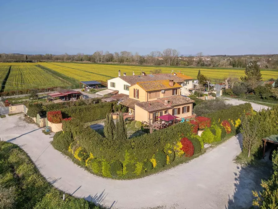 Immagine 2 di Rustico / casale in vendita  a Ponsacco