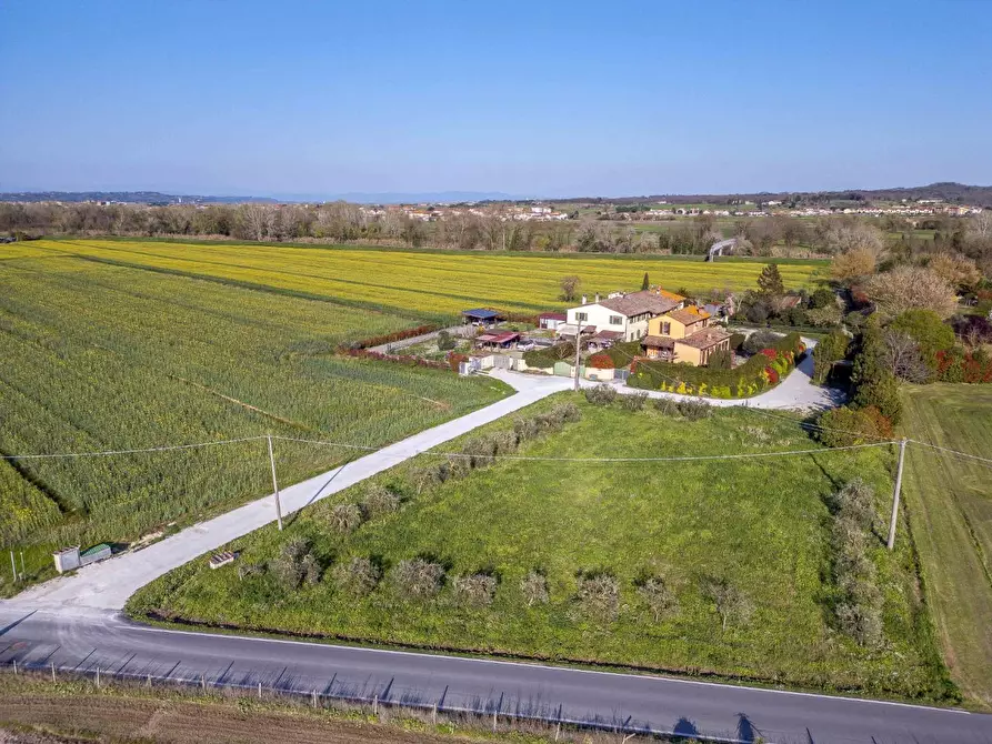 Immagine 8 di Rustico / casale in vendita  a Ponsacco