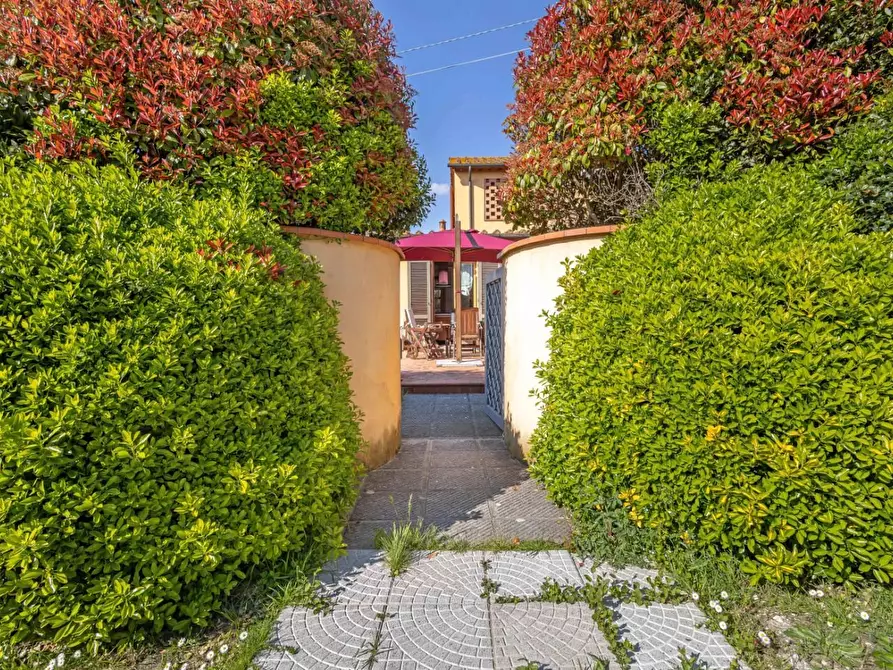 Immagine 11 di Rustico / casale in vendita  a Ponsacco