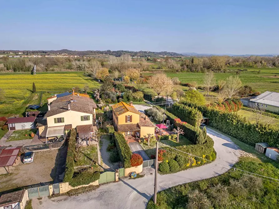 Immagine 4 di Rustico / casale in vendita  a Ponsacco