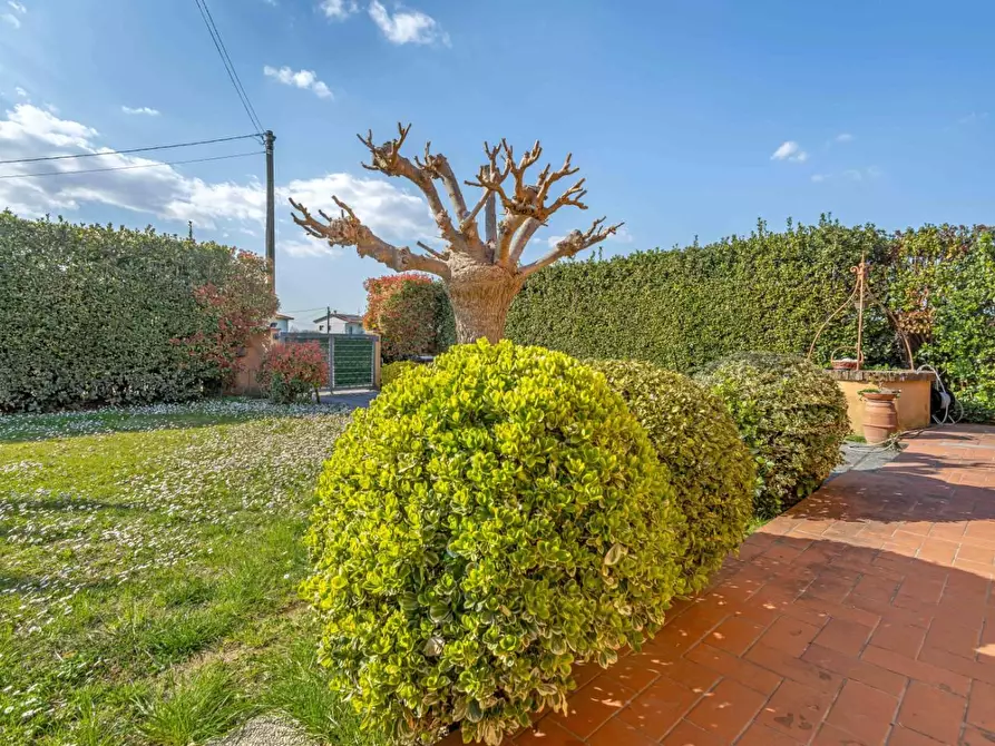 Immagine 15 di Rustico / casale in vendita  a Ponsacco