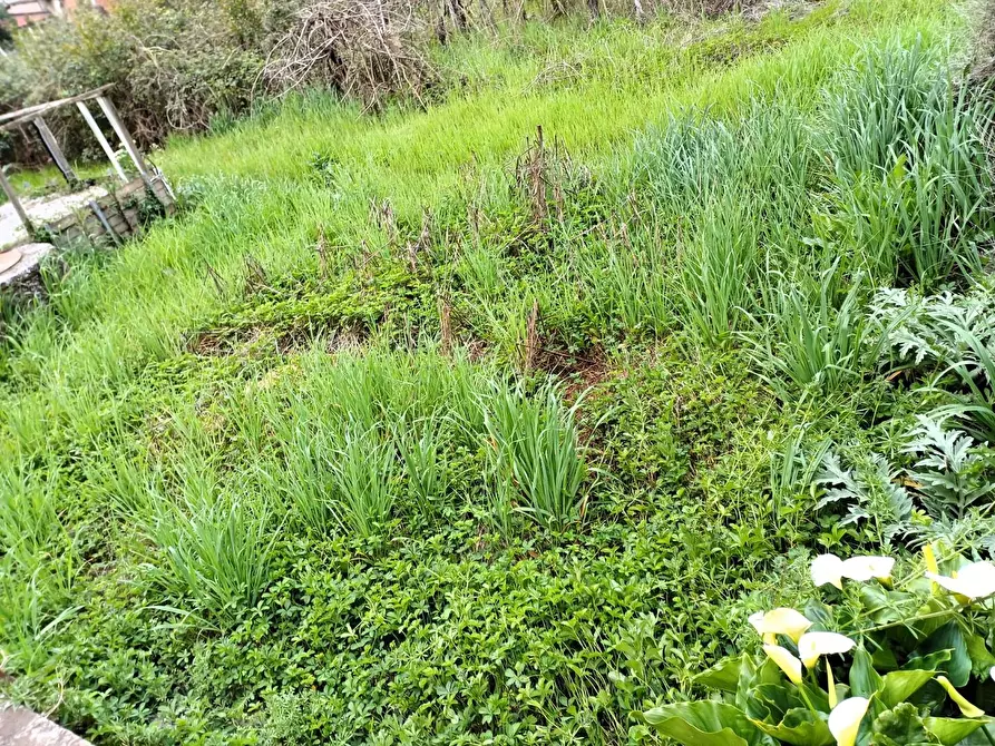 Immagine 10 di Appartamento in vendita  a Vinci