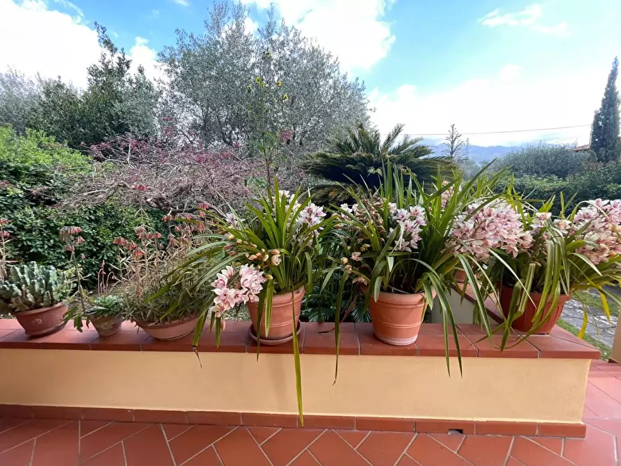 Immagine 9 di Casa bifamiliare in affitto  a Forte Dei Marmi