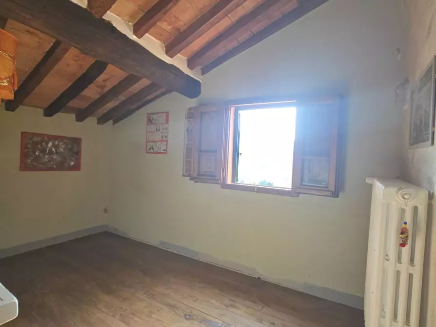 Immagine 16 di Terratetto in affitto  a Lamporecchio