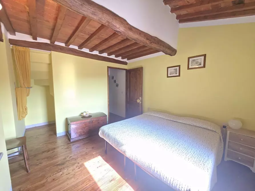 Immagine 9 di Terratetto in affitto  a Lamporecchio