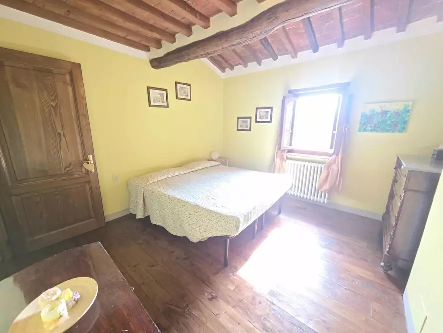 Immagine 8 di Terratetto in affitto  a Lamporecchio