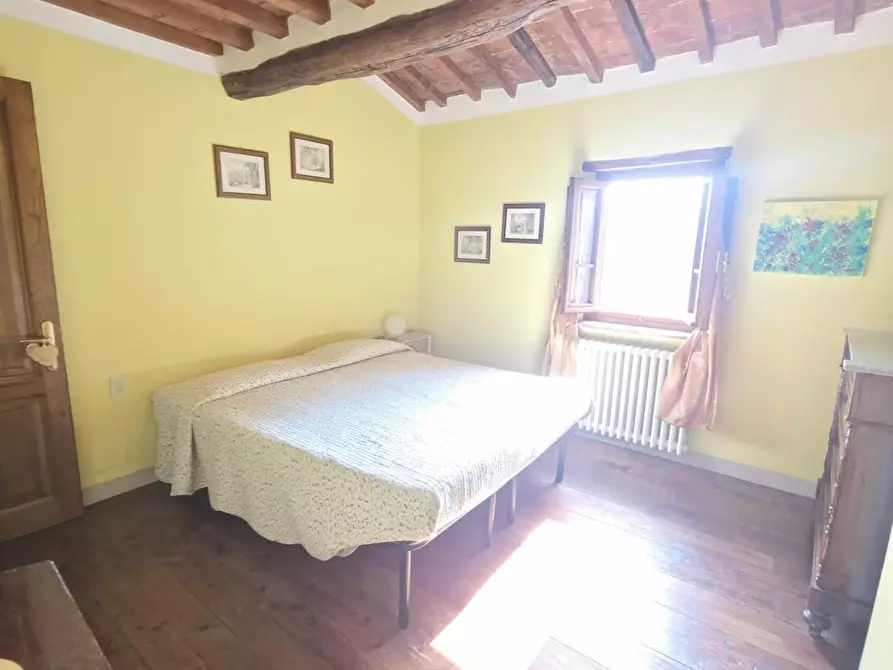 Immagine 11 di Terratetto in affitto  a Lamporecchio