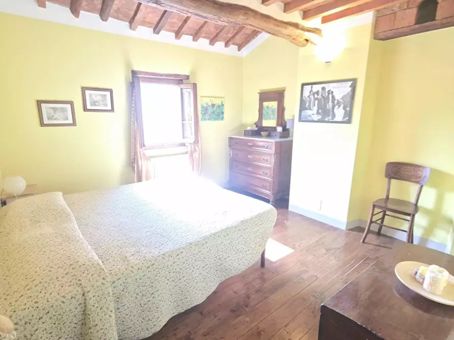 Immagine 10 di Terratetto in affitto  a Lamporecchio