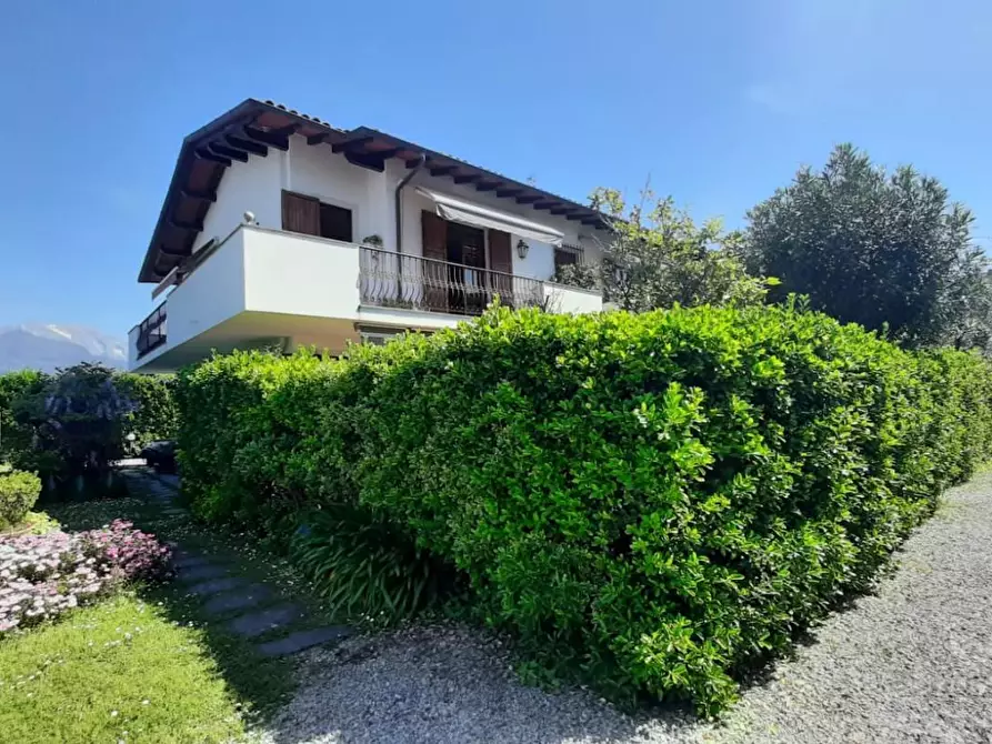 Immagine 1 di Appartamento in vendita  a Seravezza