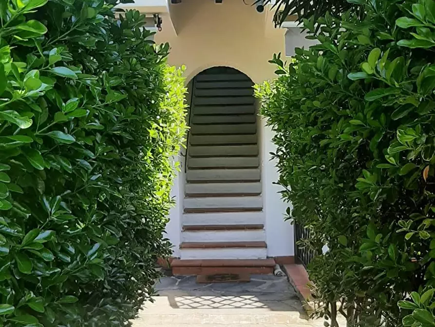 Immagine 2 di Appartamento in vendita  a Seravezza