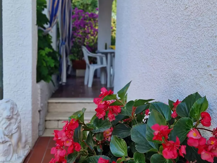 Immagine 4 di Casa bifamiliare in affitto  a Pietrasanta