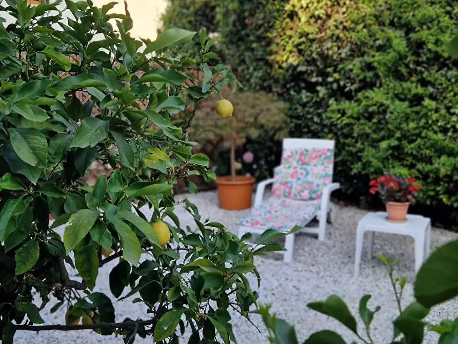 Immagine 2 di Casa bifamiliare in affitto  a Pietrasanta