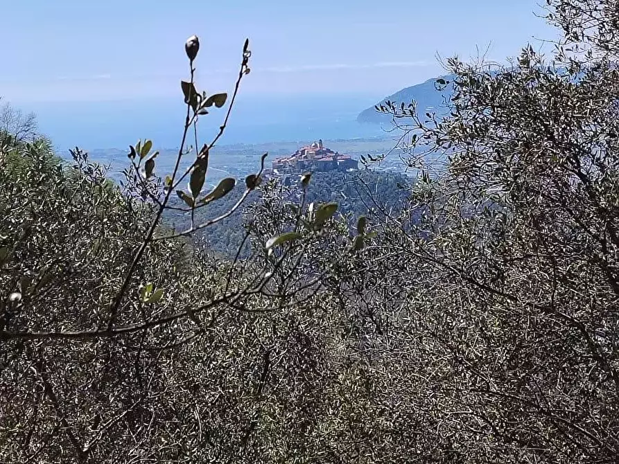 Immagine 8 di Appartamento in vendita  a Ortonovo