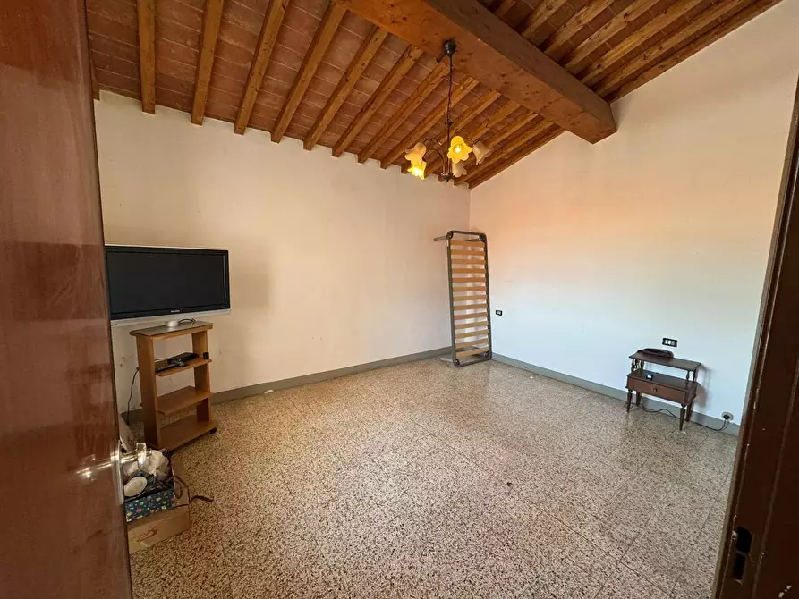 Immagine 15 di Terratetto in vendita  a Vecchiano