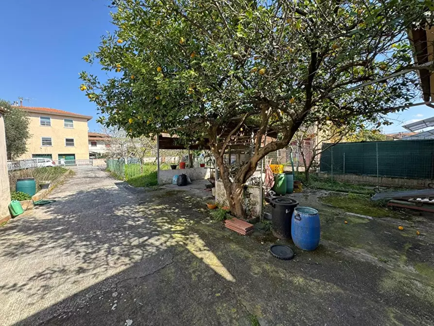 Immagine 22 di Terratetto in vendita  a Vecchiano