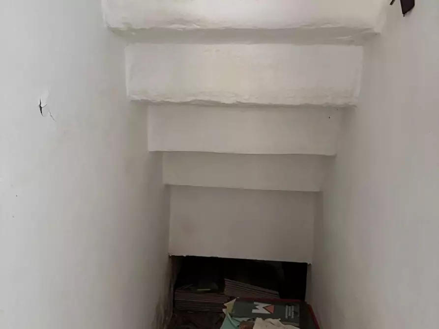 Immagine 2 di Terratetto in vendita  a Vecchiano