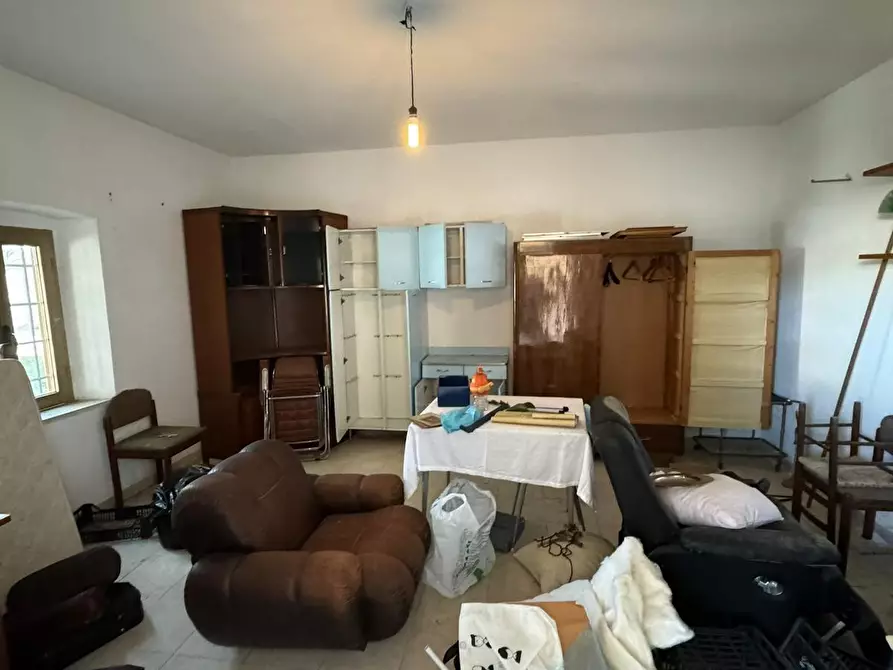 Immagine 26 di Terratetto in vendita  a Vecchiano