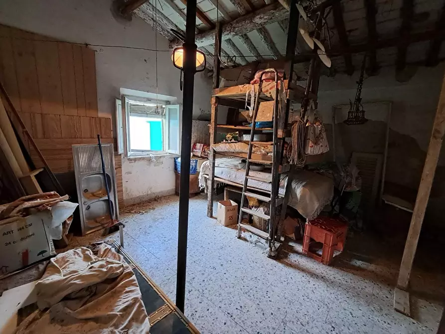 Immagine 14 di Terratetto in vendita  a Pontedera