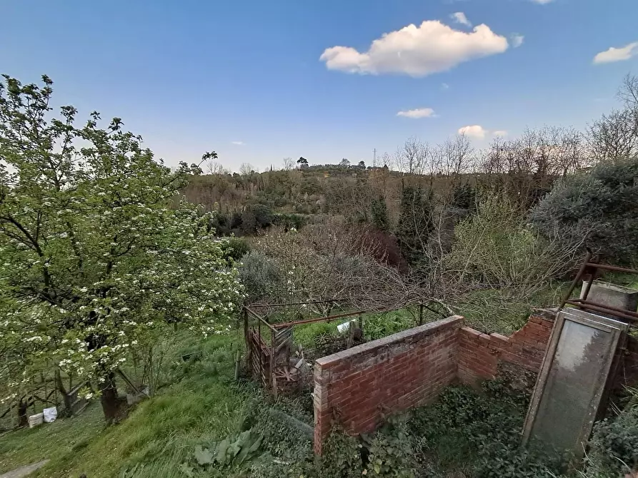 Immagine 18 di Terratetto in vendita  a Pontedera