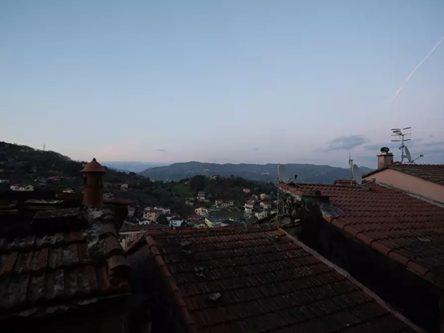 Immagine 23 di Terratetto in vendita  a Arcola