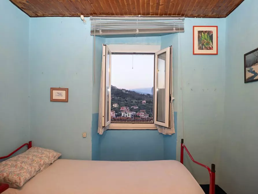 Immagine 21 di Terratetto in vendita  a Arcola