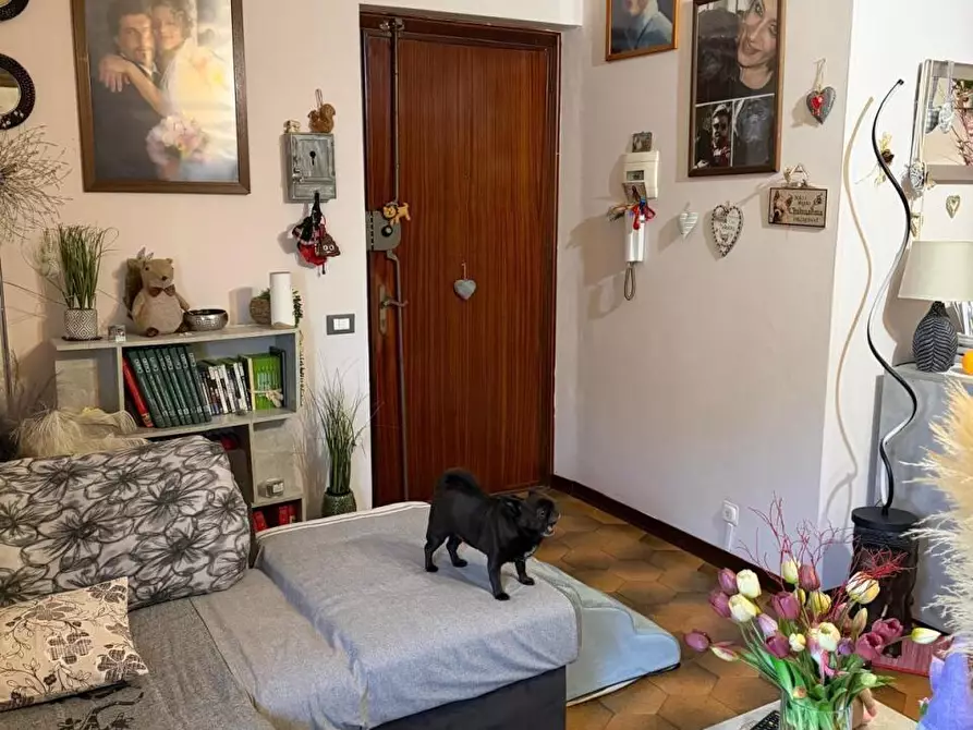 Immagine 3 di Appartamento in vendita  a Castelnuovo Magra