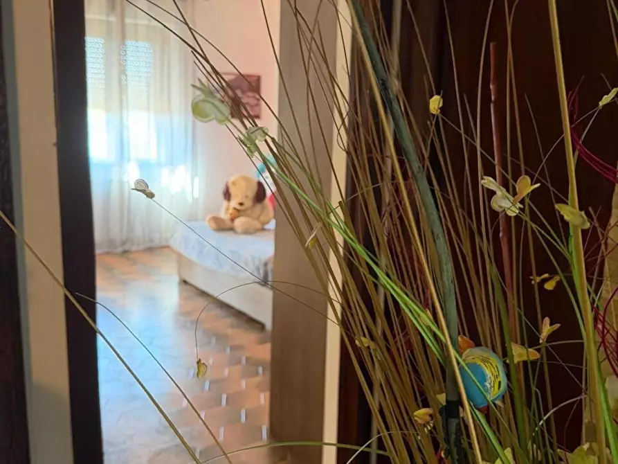 Immagine 11 di Appartamento in vendita  a Castelnuovo Magra