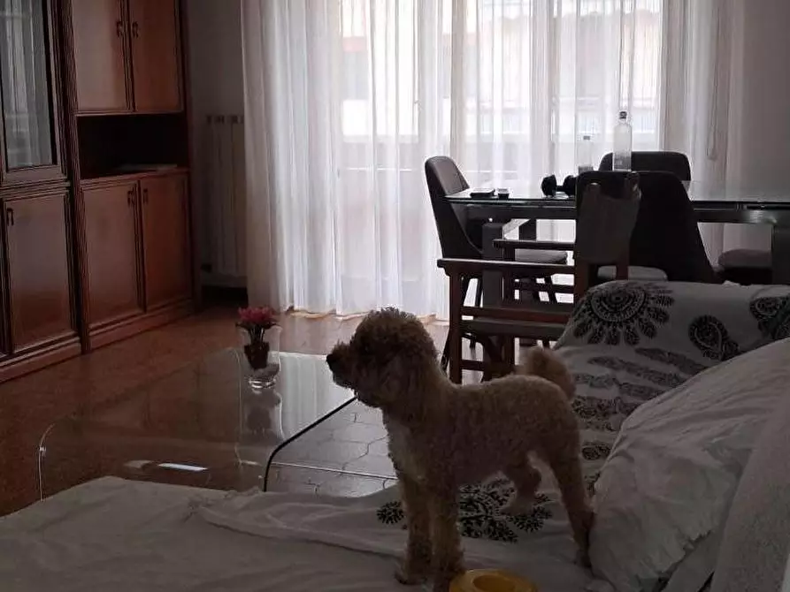 Immagine 3 di Appartamento in vendita  a Cascina