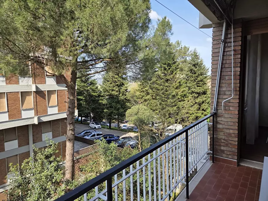 Immagine 19 di Appartamento in vendita  a Siena