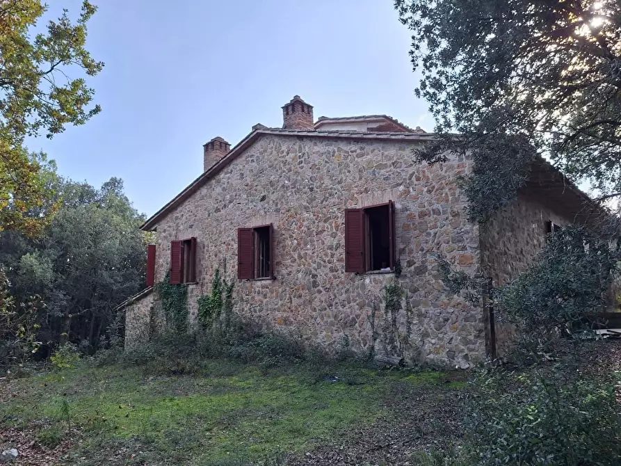 Immagine 5 di Villa in vendita  a Murlo
