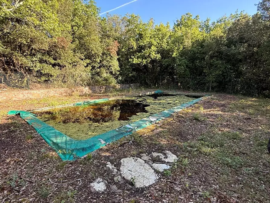 Immagine 13 di Villa in vendita  a Murlo