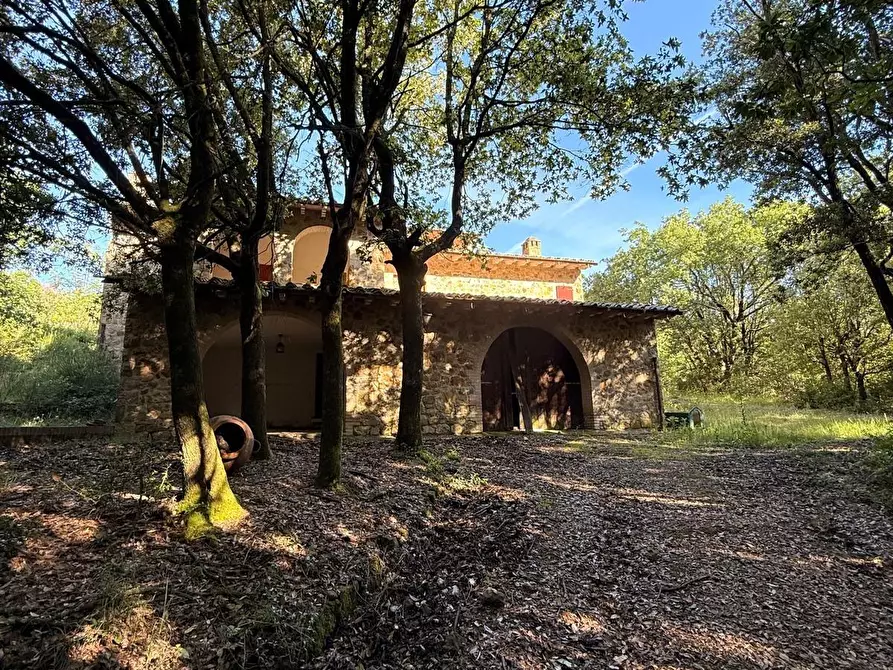 Immagine 1 di Villa in vendita  a Murlo